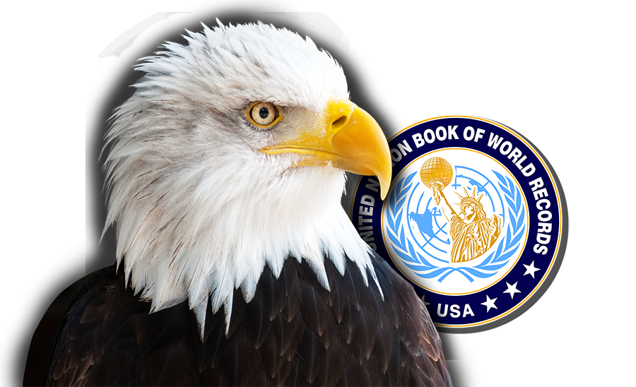 United Nation Book of World Records
